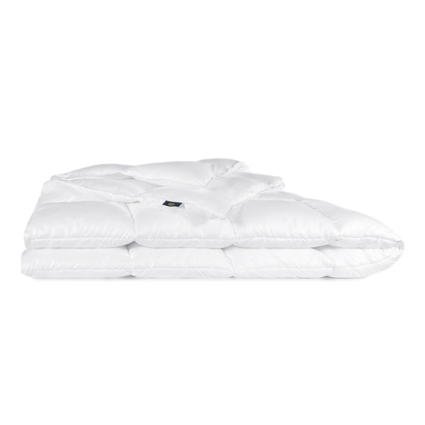Serta All Season Down Alternative Comforter & Reviews Wayfair